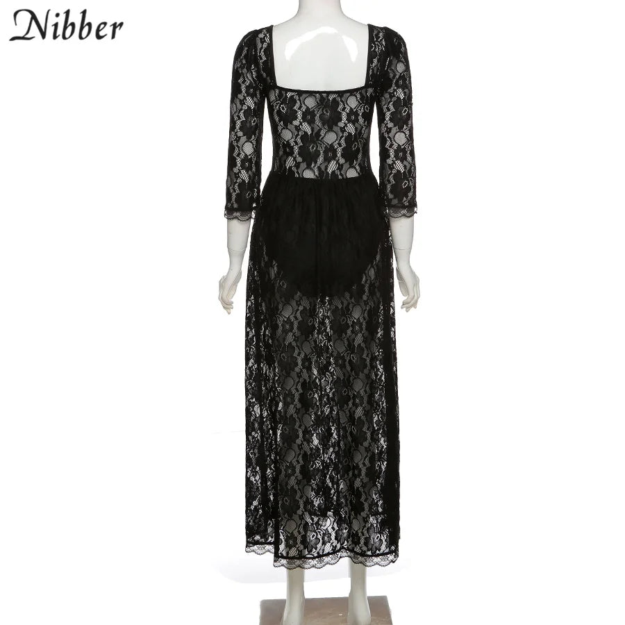 Sexy Hollow Lace Bodycon Long Dress For Women See Through