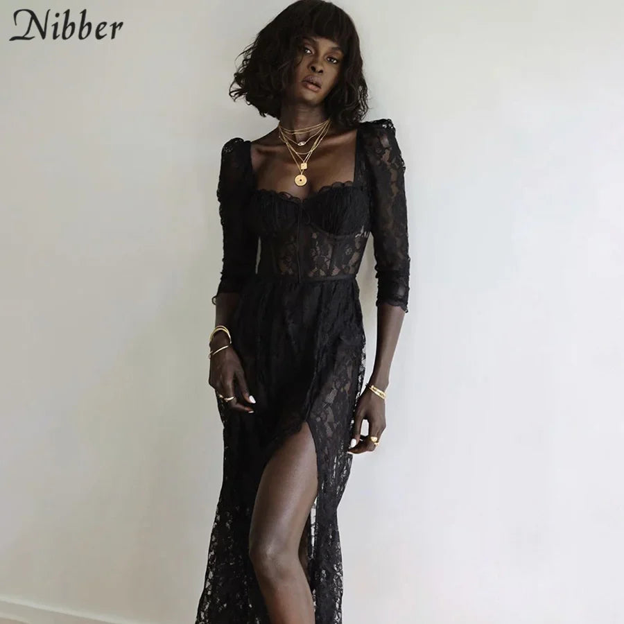 Sexy Hollow Lace Bodycon Long Dress For Women See Through