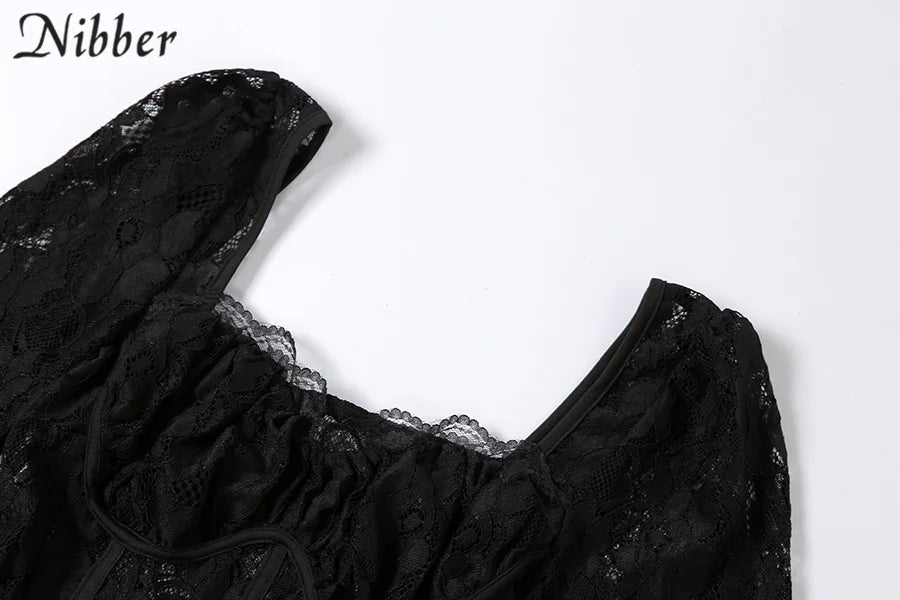 Sexy Hollow Lace Bodycon Long Dress For Women See Through