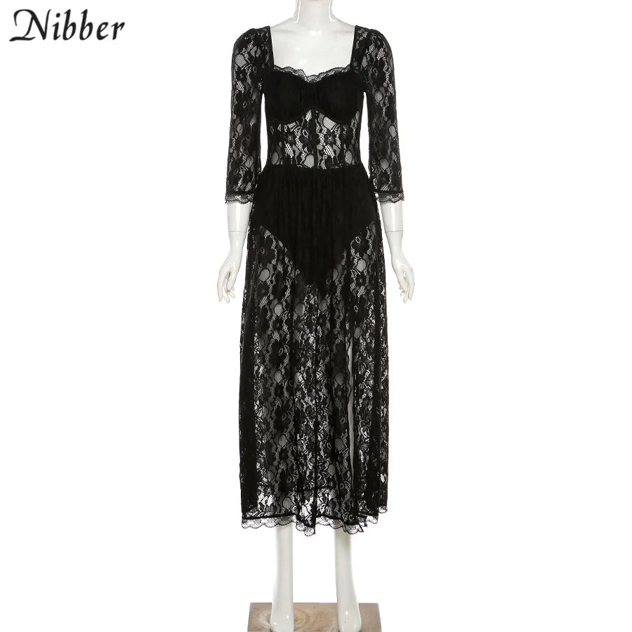 Sexy Hollow Lace Bodycon Long Dress For Women See Through