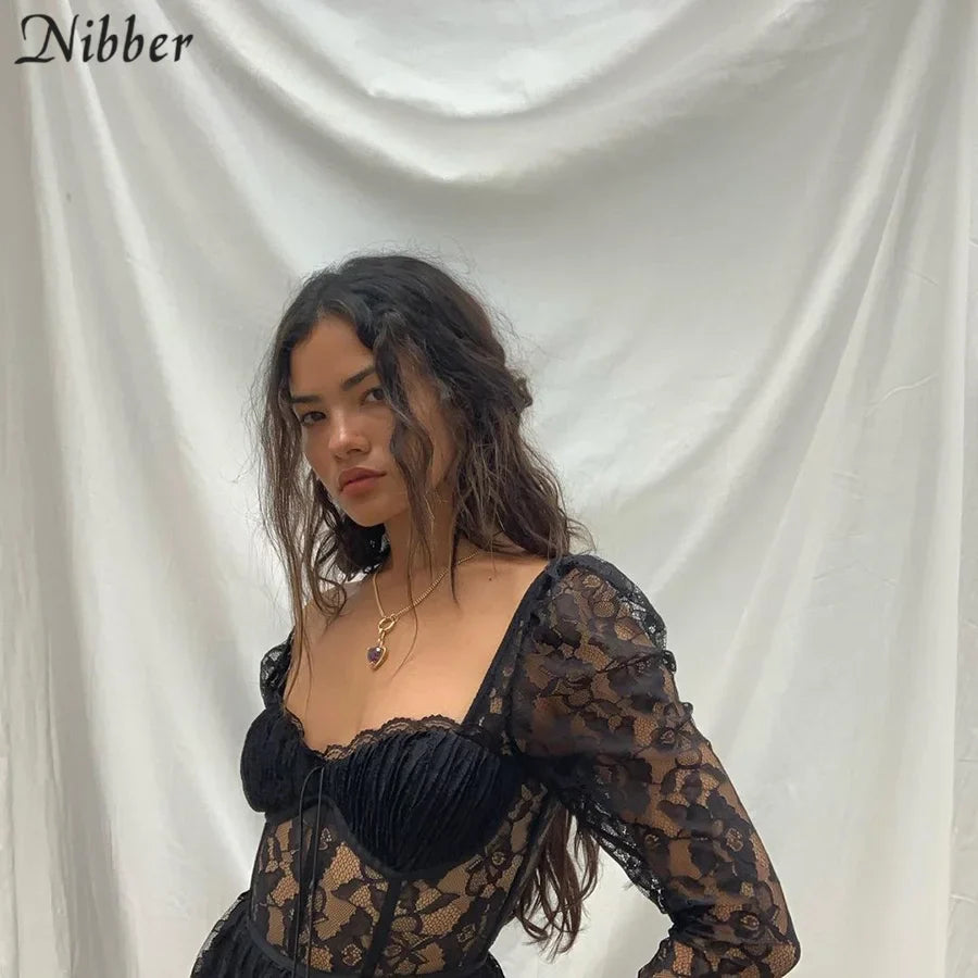 Sexy Hollow Lace Bodycon Long Dress For Women See Through