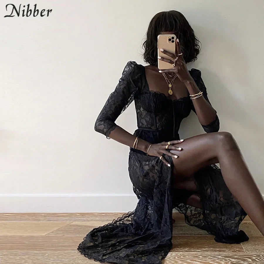 Sexy Hollow Lace Bodycon Long Dress For Women See Through