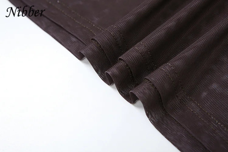 See Through Mesh Maxi Dress Women Long Sleeve Bodycon