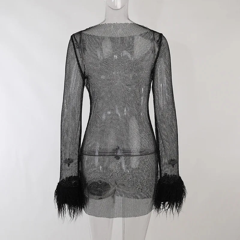 Black Mesh Bodycon Dress Long Sleeve Women Clubwear