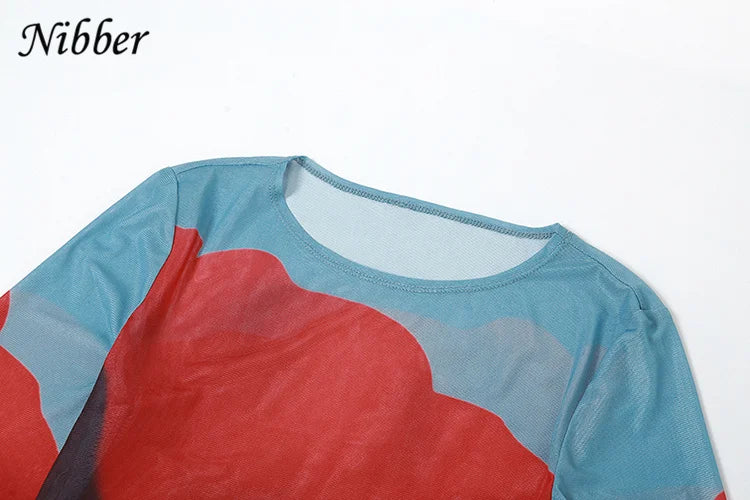 See Through Mesh Maxi Dress Women Long Sleeve Bodycon