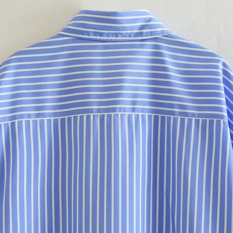 Women's Striped Loose Fit Long Sleeve Shirt Soft Blue Autumn Blouse Stylish Office Wear Top