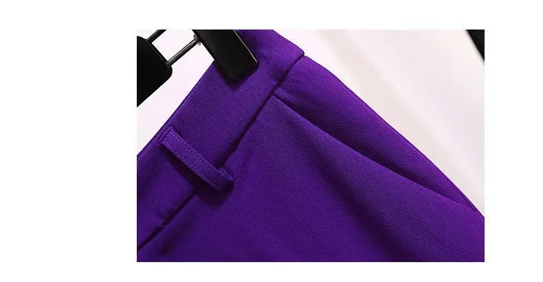 Autumn Women's Purple Simple Blazer for Work Office Casual Ladies Suit Two-Piece Professional Blazer Coat
