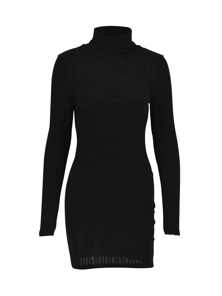 Black Turtleneck Bodycon Mini Dress With Long Sleeves