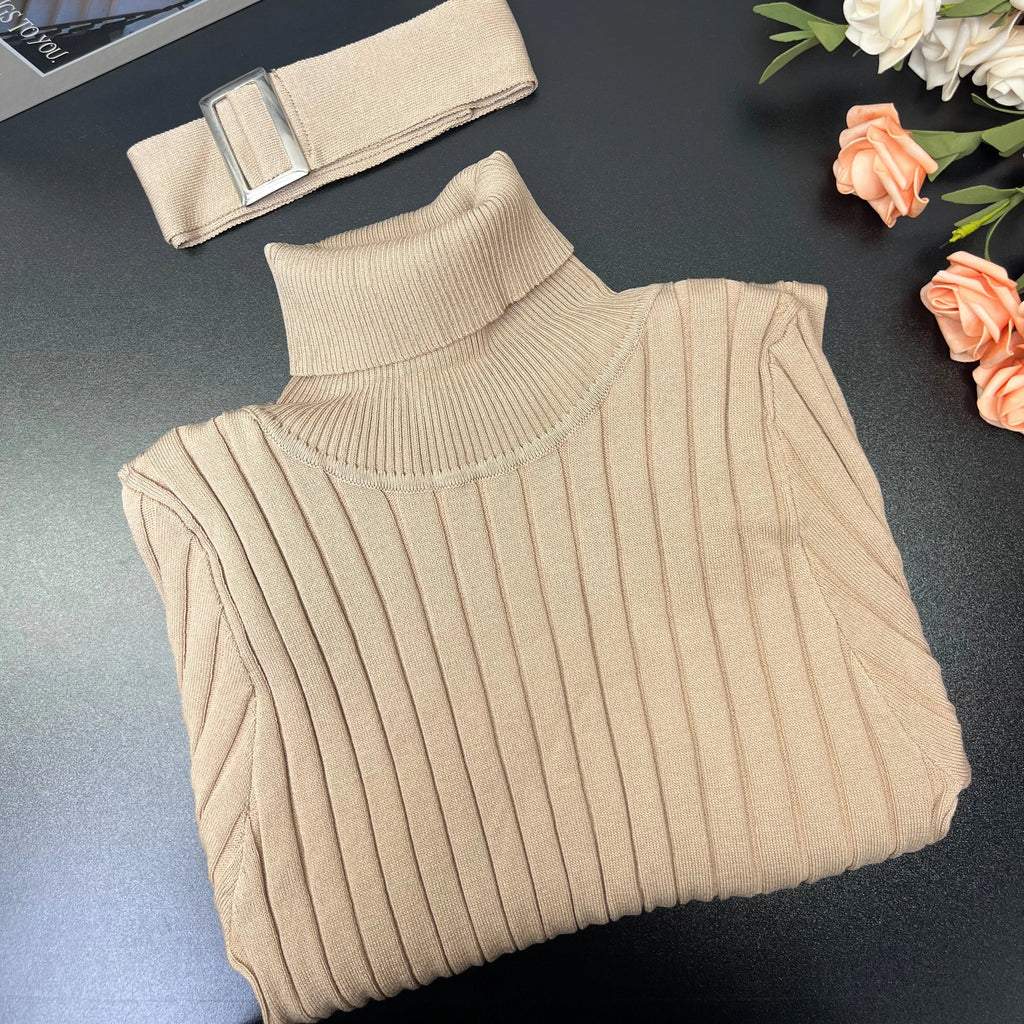 Rib Knit Bodycon Dress Belted Turtleneck Sweater Winter