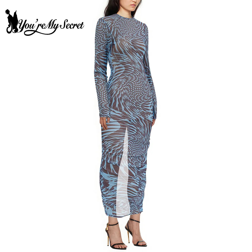 Mesh Print See Through Long Sleeve Bodycon Dress For Women
