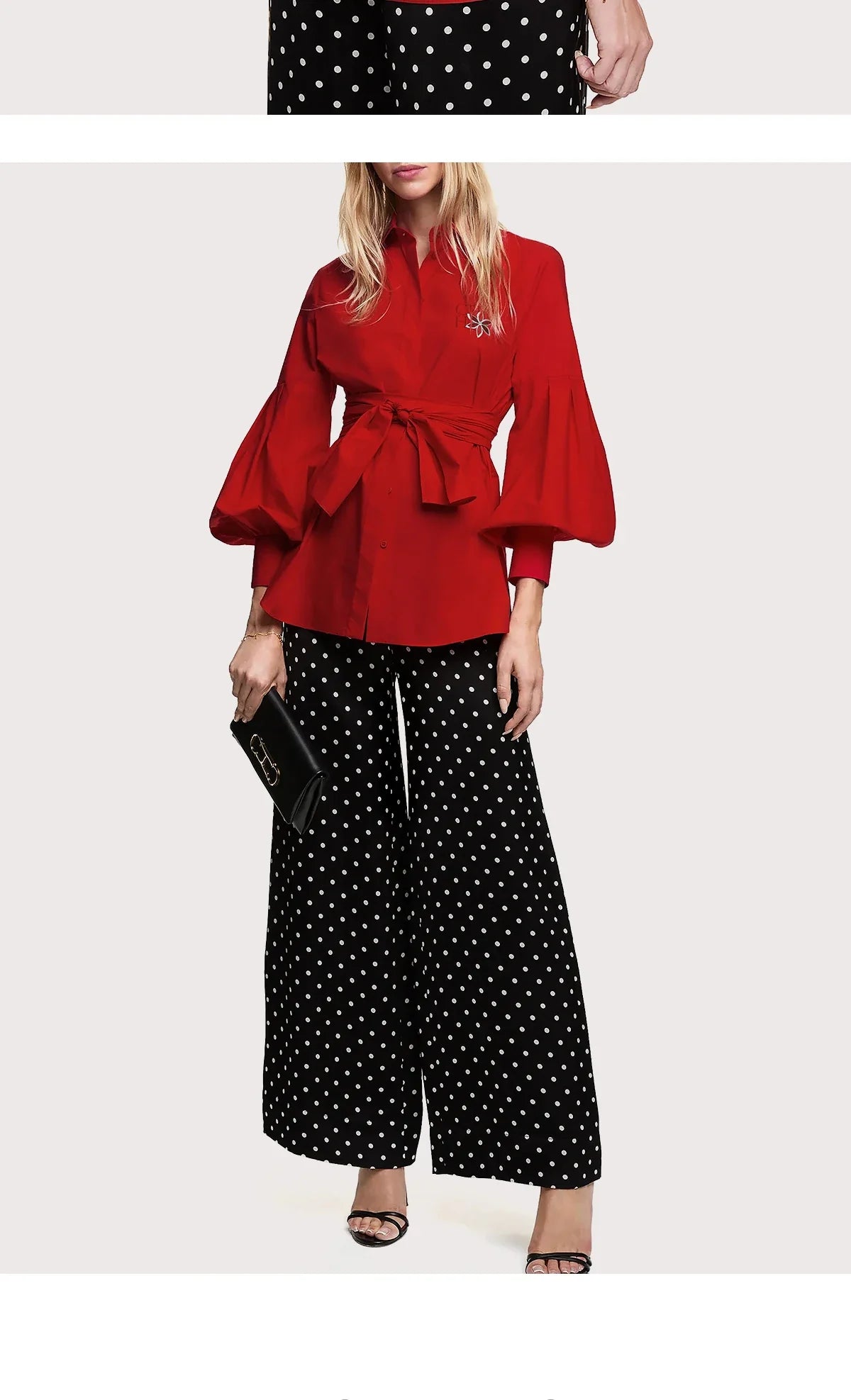 Women Embroidered Elegant Lantern Sleeve Blouse Casual Long Sleeve Office Shirt Fashionable Commuting Top