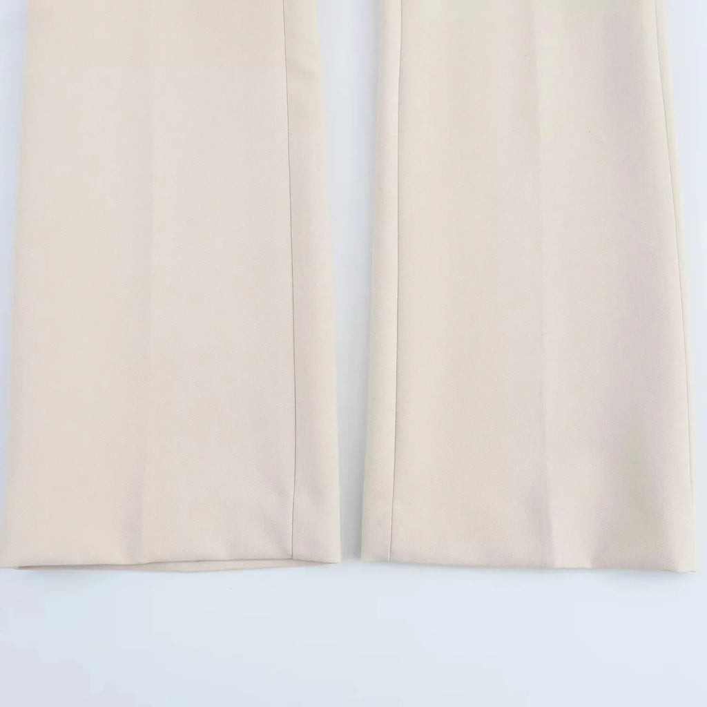 Elegant Women Blazer And Pants Suit For Office Wear