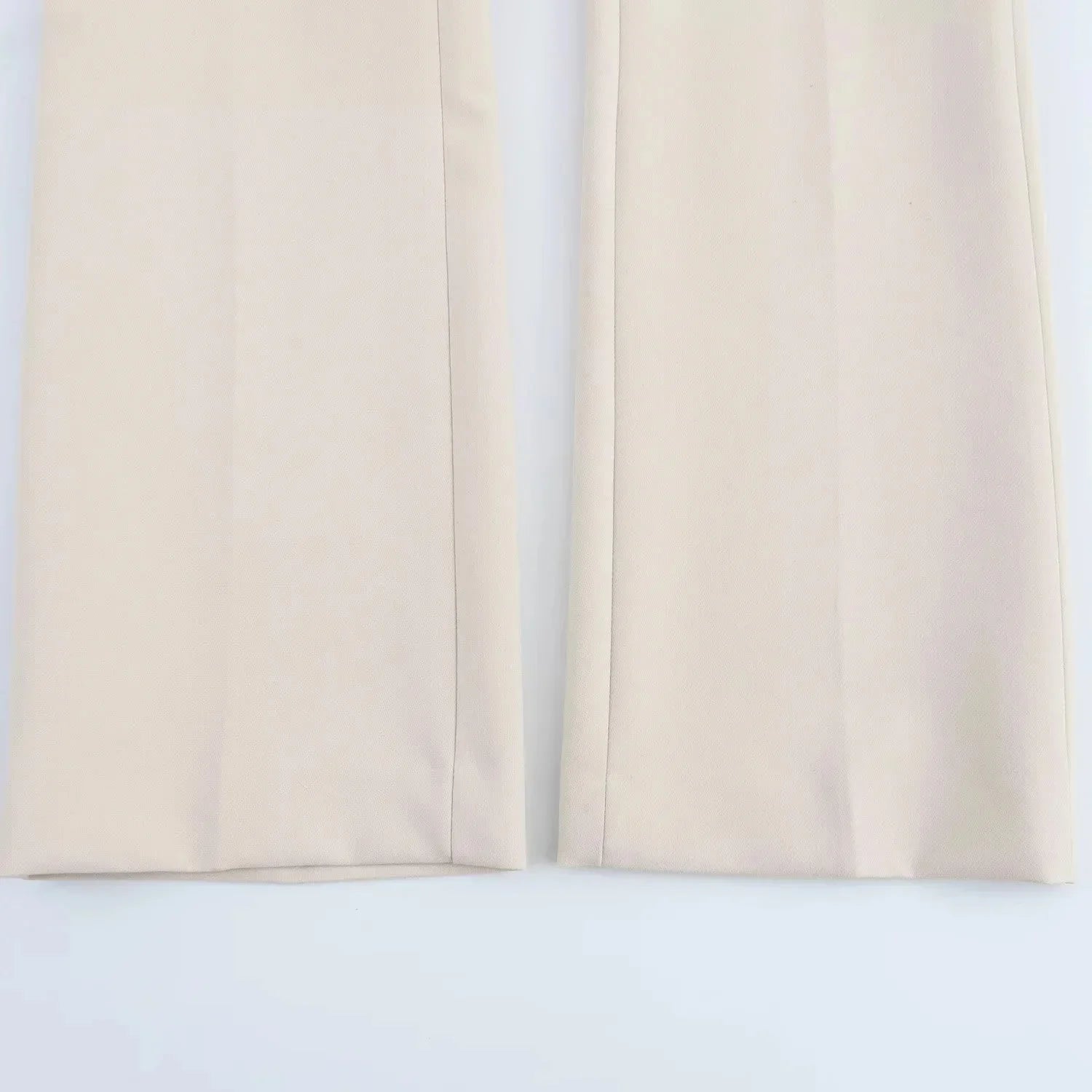 Elegant Women Blazer And Pants Suit For Office Wear