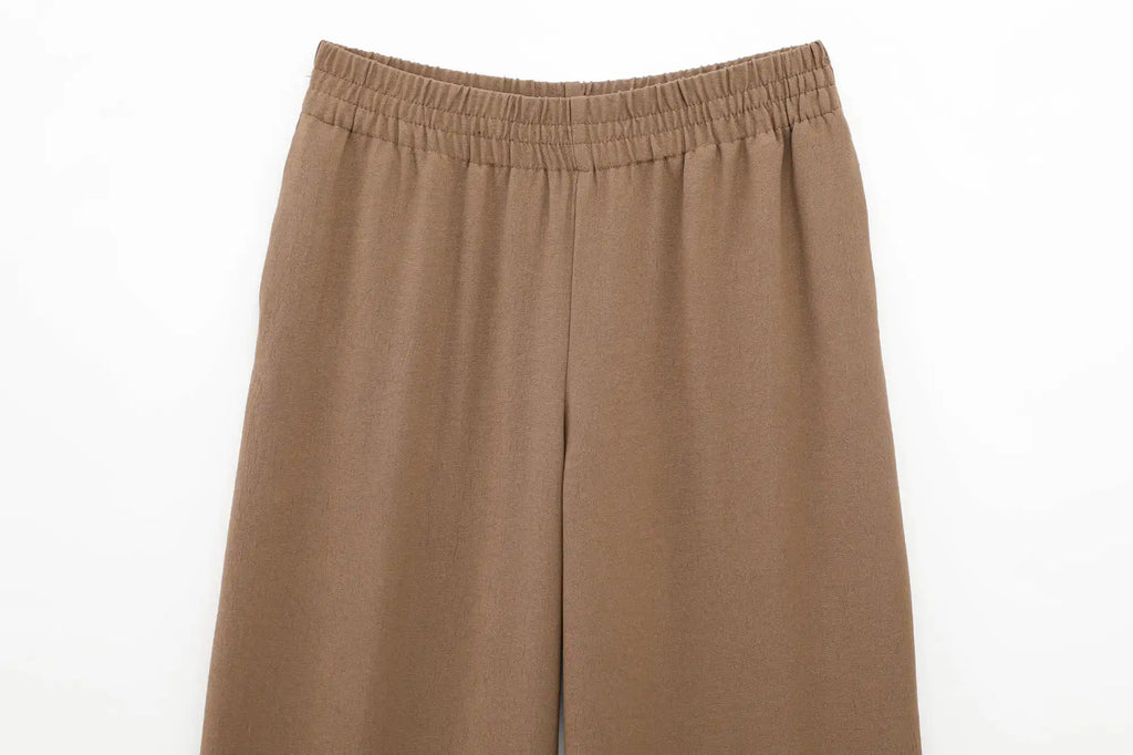 Women Casual Brown Lace-Up Waist Shirt and High Waist Wide Leg Pants Set for Spring Fashion