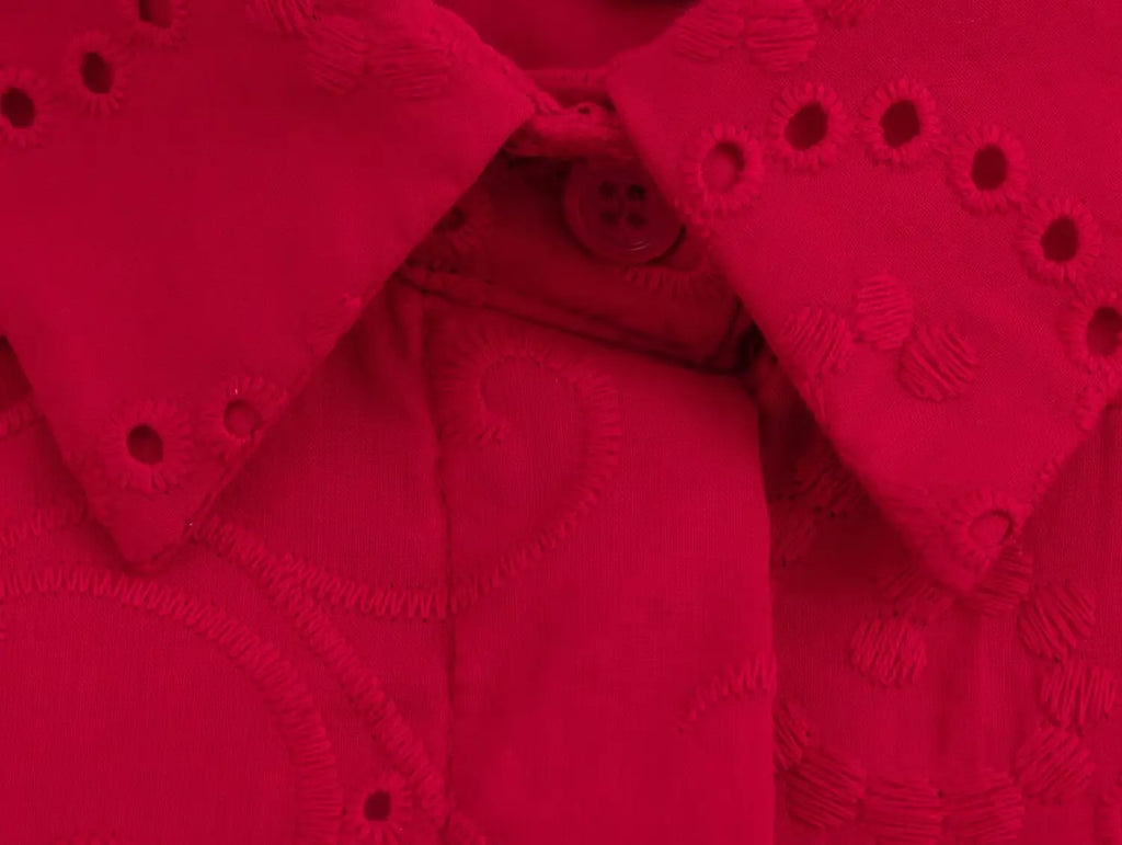 Women Casual Embroidered Hollow Single Breasted Lapel Shirt Top Long Sleeve Curved Hem Loose Fit Blouse