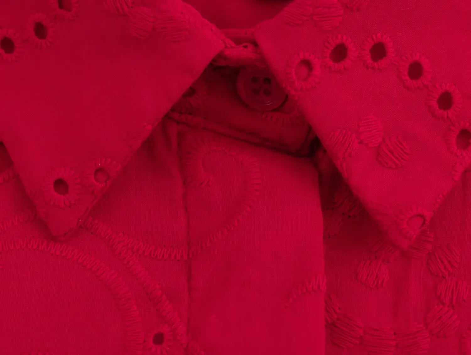 Women Casual Embroidered Hollow Single Breasted Lapel Shirt Top Long Sleeve Curved Hem Loose Fit Blouse