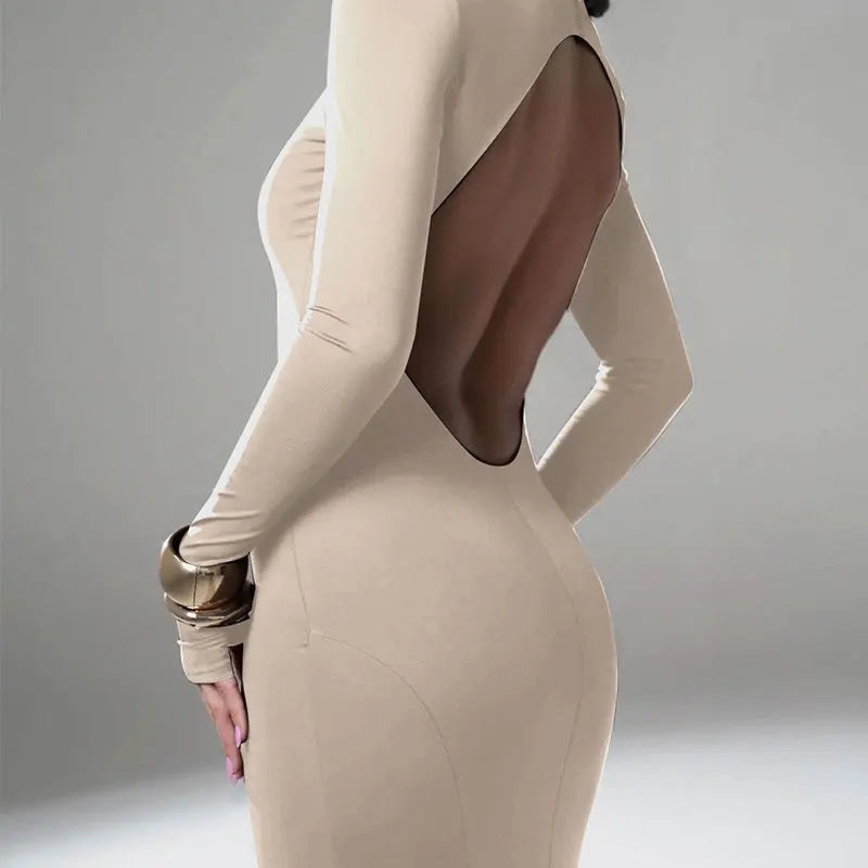 Backless Dress Solid Turtleneck For Women Winter Fashion