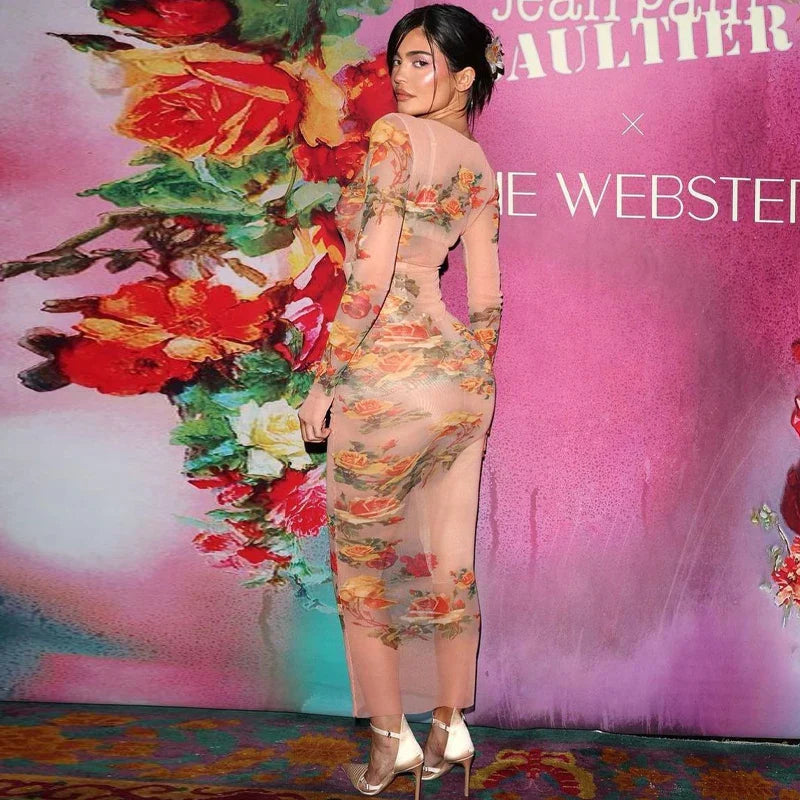 Sheer Mesh Floral Maxi Dress Long Sleeve Beachwear