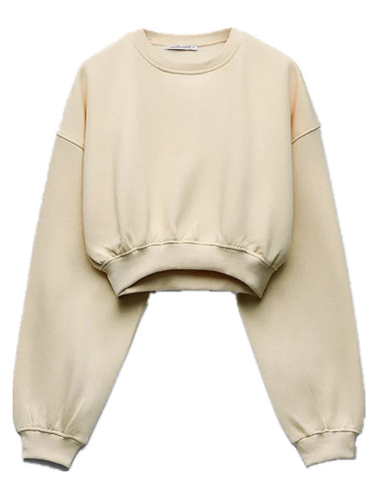 Women's Casual Sweater Pants Suit for Fall and Winter Elegant Sportswear Set