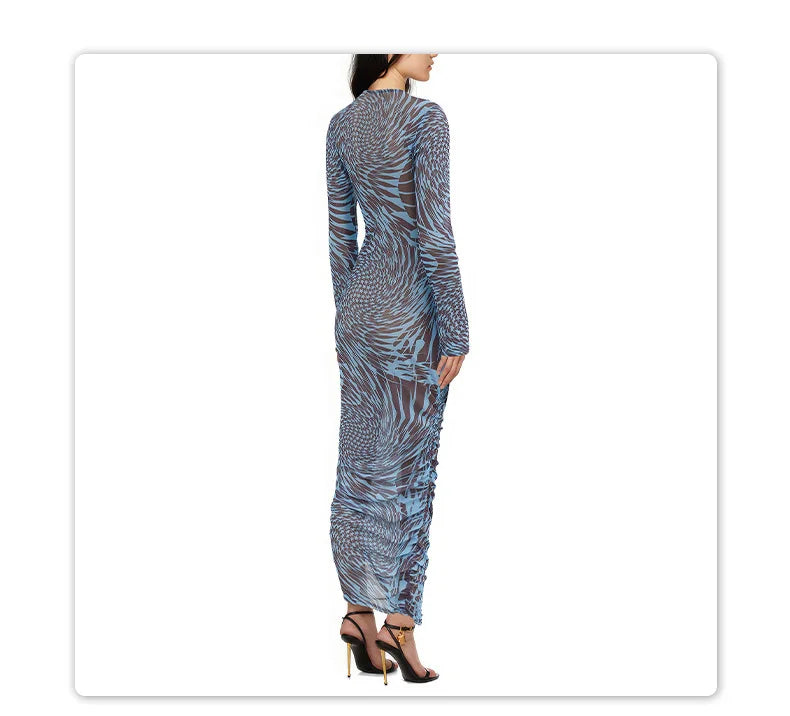 Mesh Print See Through Long Sleeve Bodycon Dress For Women