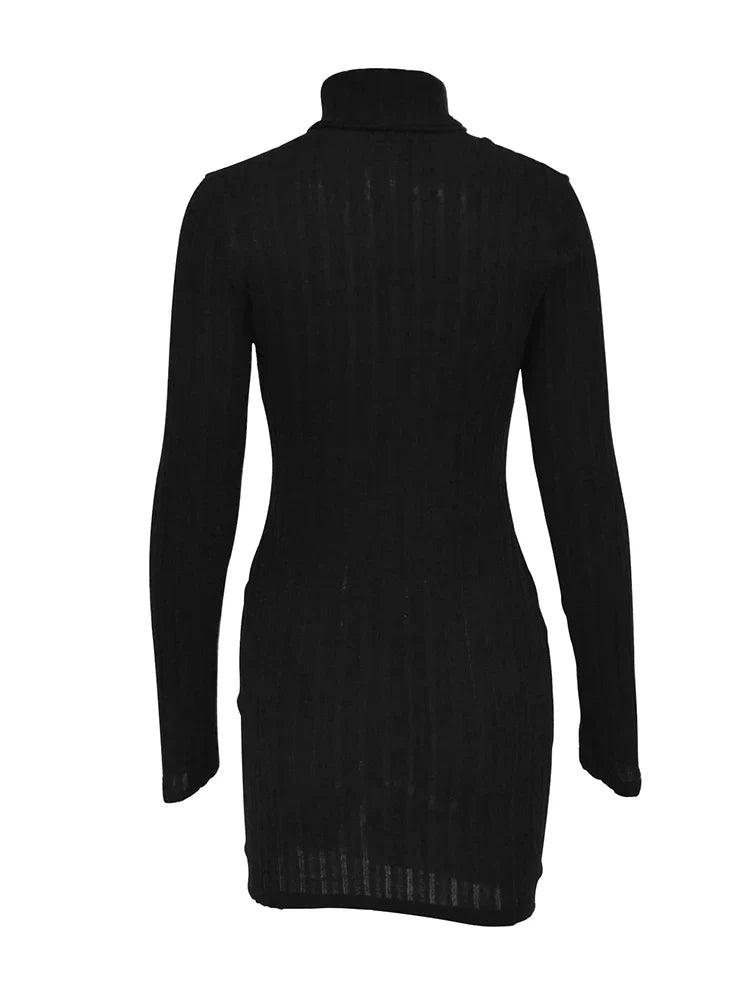 Black Turtleneck Bodycon Mini Dress With Long Sleeves