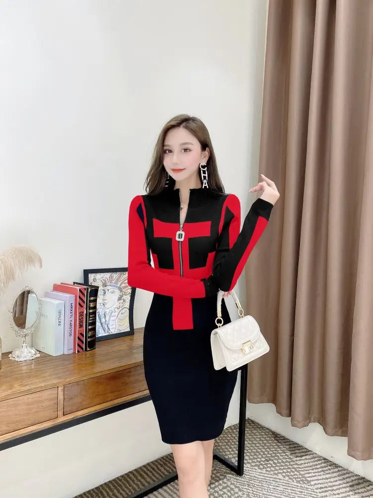 Winter Knit Bodycon Dress With Zipper Pattern Chic