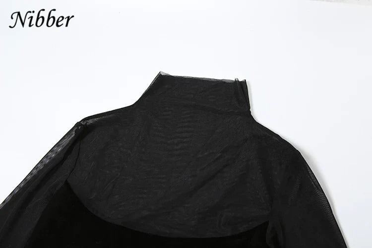 Mesh Patchwork Velvet Sheer Dress Long Sleeve Bodycon