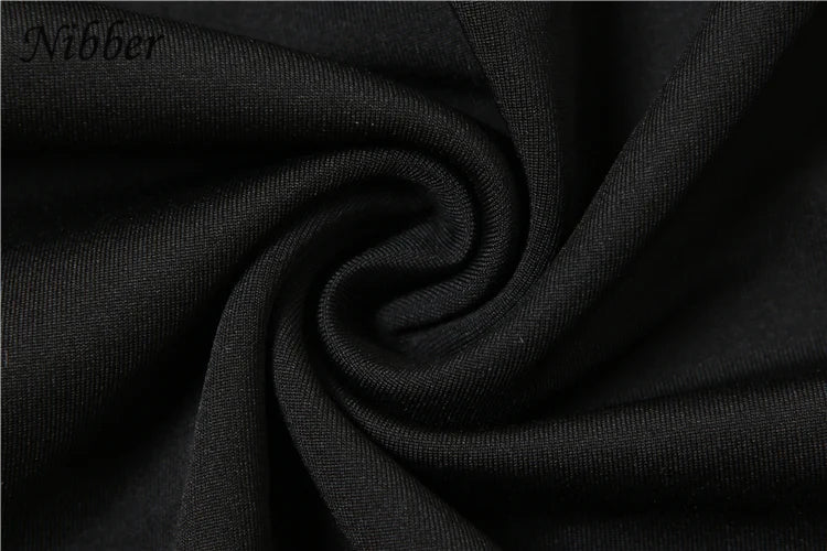 Elegant Nibber Pleats Two Piece Set for Women Hooded Low Neck Long Sleeve Top with Solid Flared Pants Casual Matching Trendy Outfit