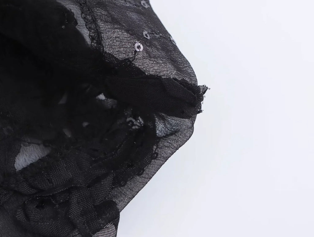 Sequin Two Piece Set for Women with Translucent Blazer Coat and Elegant Pants Stylish Party Outfit