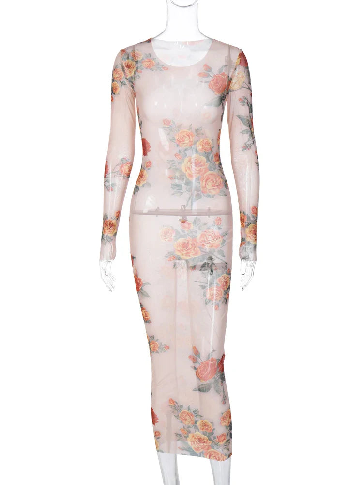 Sheer Mesh Floral Maxi Dress Long Sleeve Beachwear