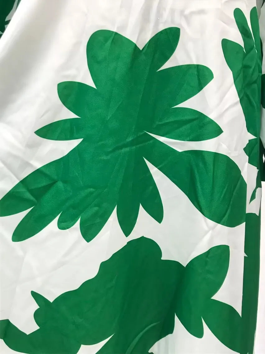 Printed Womens V Neck Lantern Sleeve Long Evening Dress