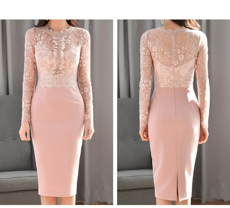 Korean Lace Bodycon Dress Women Office Sheath Pencil