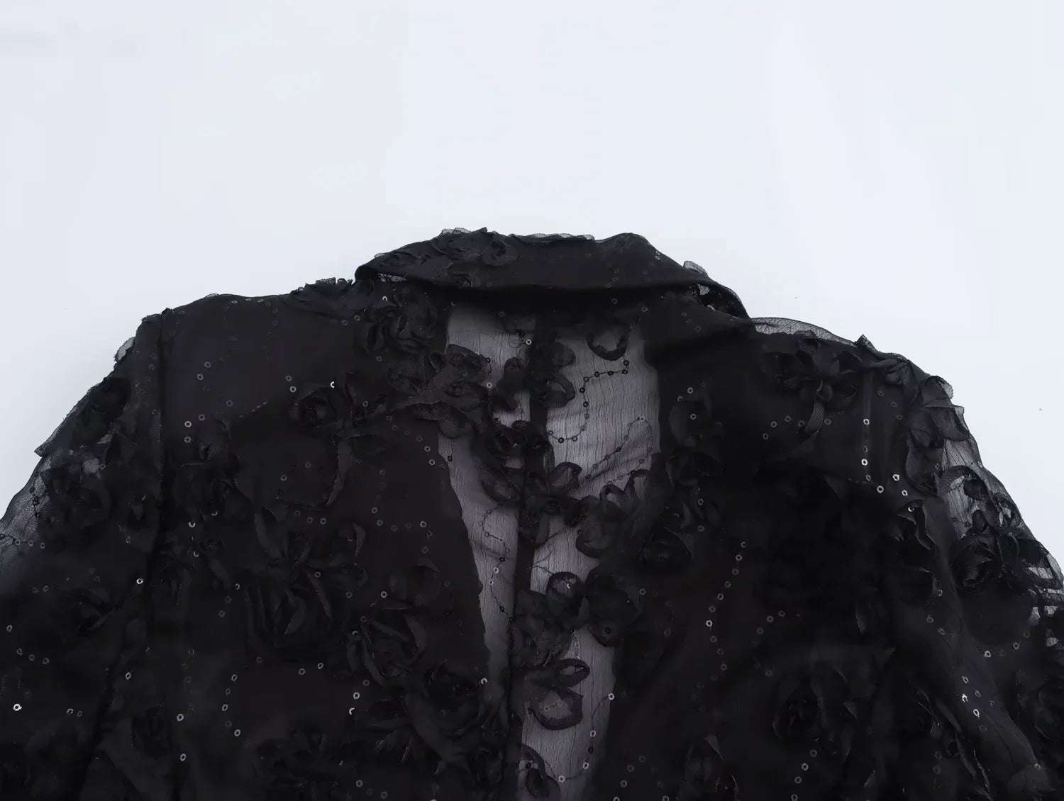 Sequin Two Piece Set for Women with Translucent Blazer Coat and Elegant Pants Stylish Party Outfit