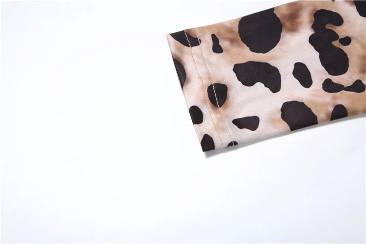 Leopard Print Women's Full Sleeve Zip Jumpsuit Skinny Stretch Fitness Workout Streetwear Overalls