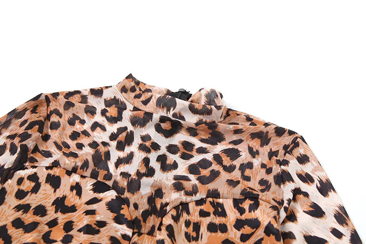 Sexy Leopard Print Mesh Jumpsuit for Women Full Sleeve Skinny Fit Round Neck One Piece Overalls