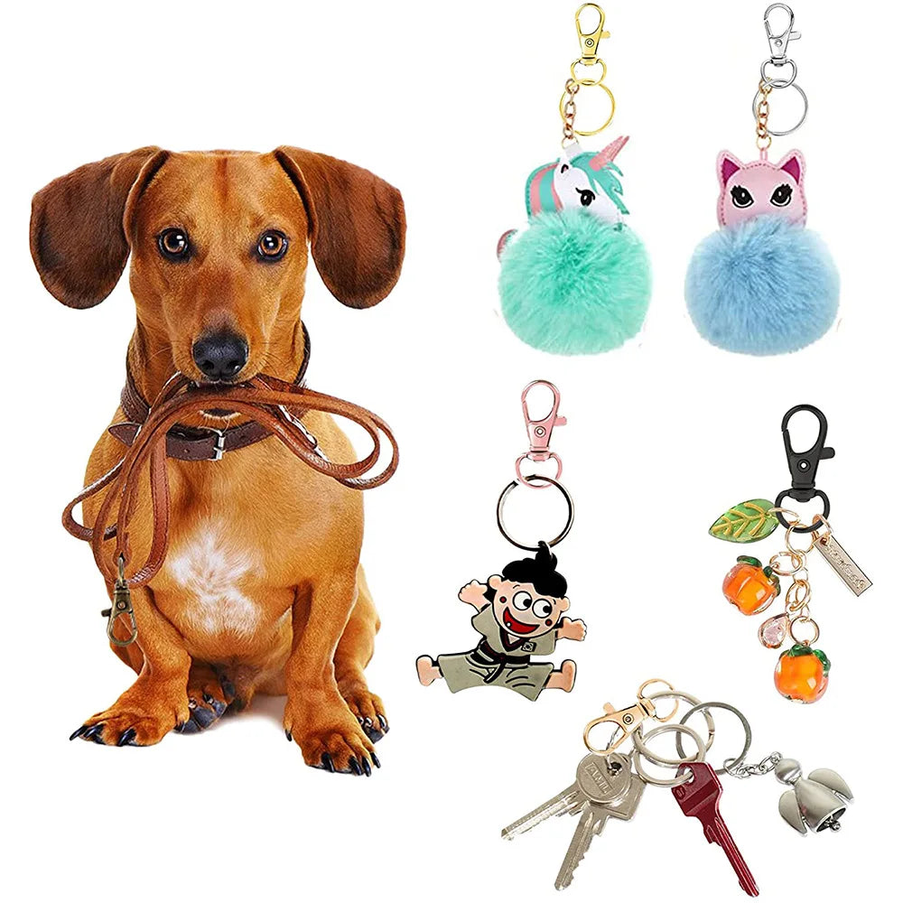 Swivel Clasps Lanyard Snap Hooks with Key Rings for Keychains and DIY Crafts