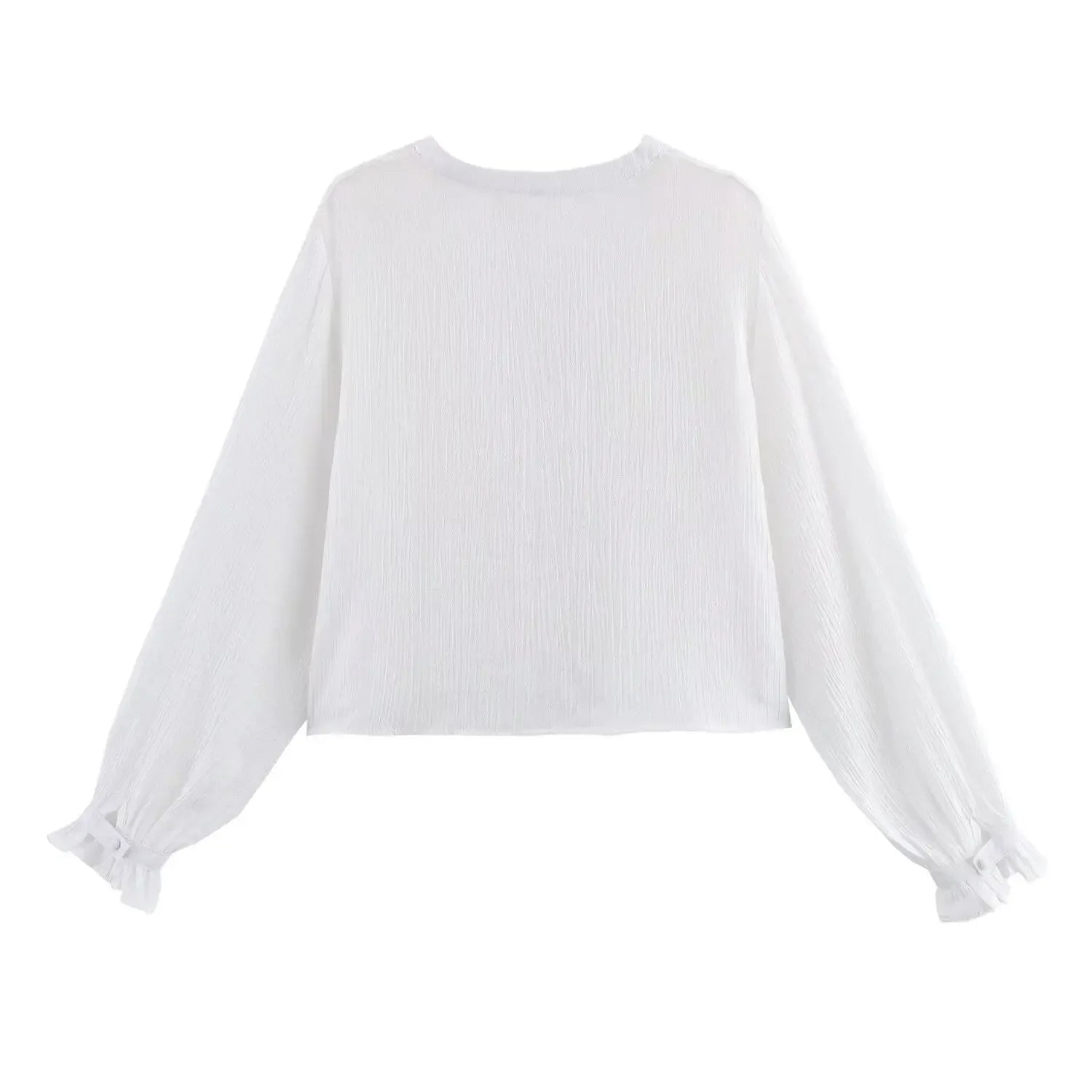 Women's Embroidered V-Neck Long Sleeve Shirt Single-Breasted Loose Hem Casual Chic Top for Spring and Summer