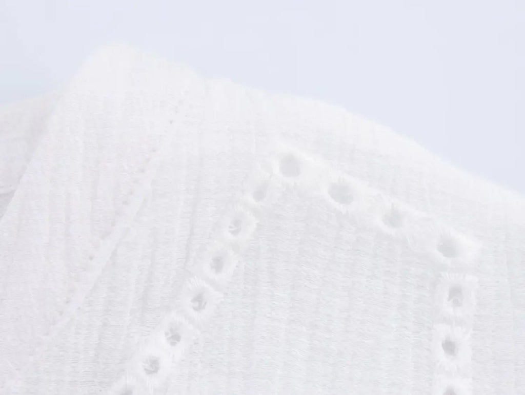 Women's Embroidered V-Neck Long Sleeve Shirt Single-Breasted Loose Hem Casual Chic Top for Spring and Summer