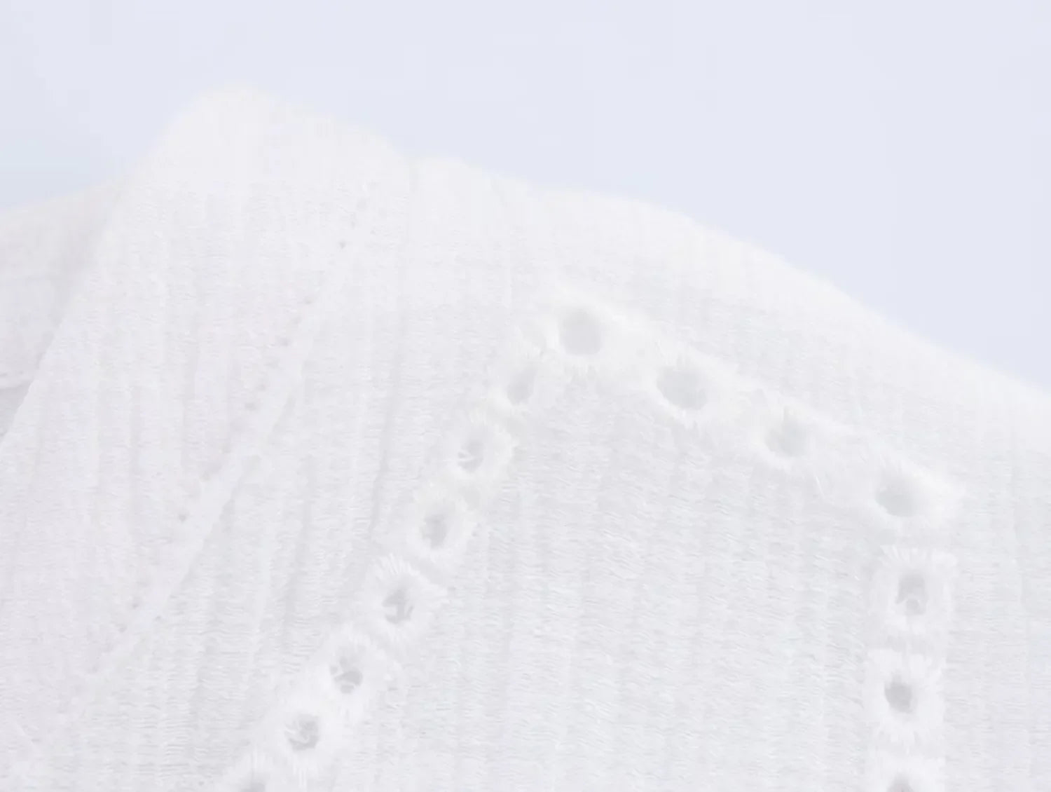 Women's Embroidered V-Neck Long Sleeve Shirt Single-Breasted Loose Hem Casual Chic Top for Spring and Summer