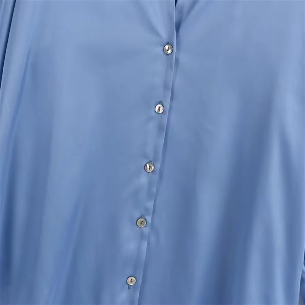 Women's Fashion Flip Collar Long Sleeve Single Breasted Shirt Coat Versatile Autumn Layered Decorative Casual Outerwear