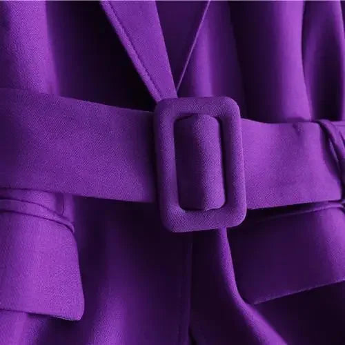 Purple Women Office Blazer Suit Two Piece Set For Work
