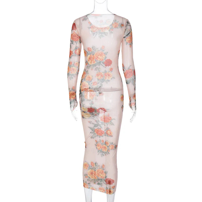 Sheer Mesh Floral Maxi Dress Long Sleeve Beachwear