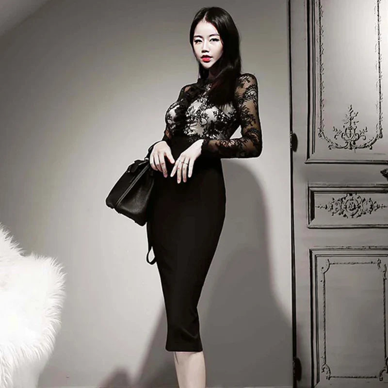 Korean Lace Bodycon Dress Women Office Sheath Pencil