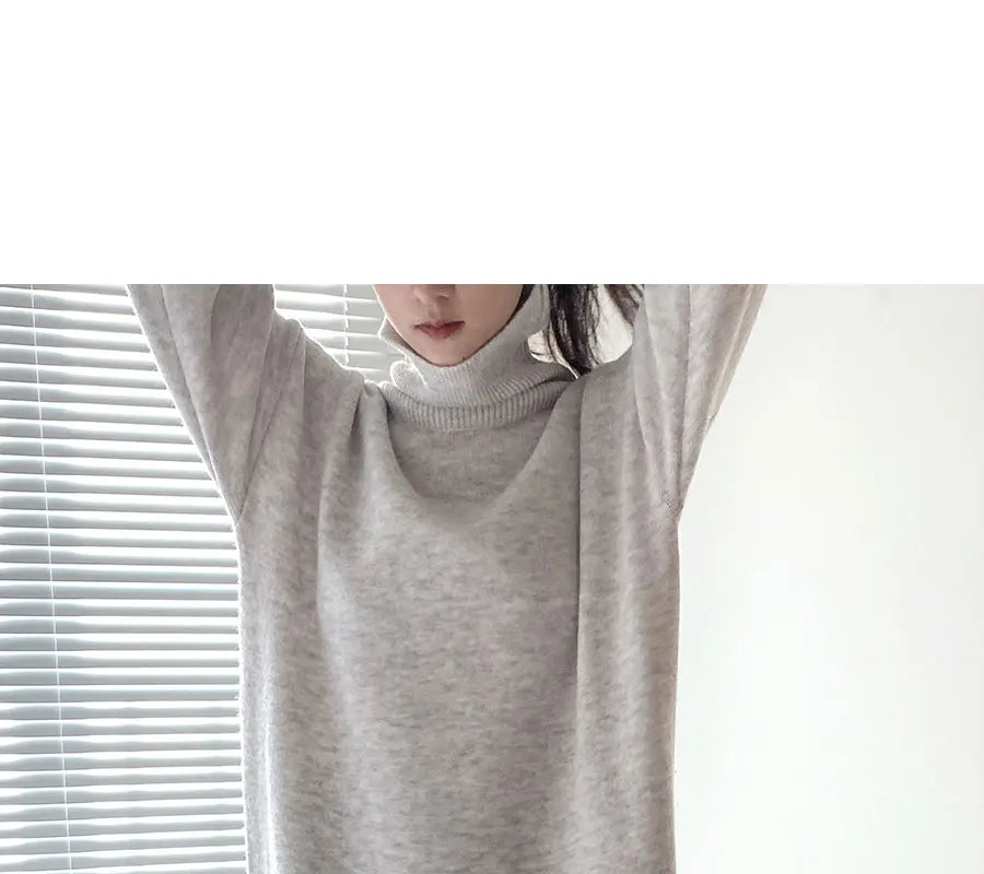 Cozy Turtleneck Sweater Dress For Women Knitted Long Sleeve