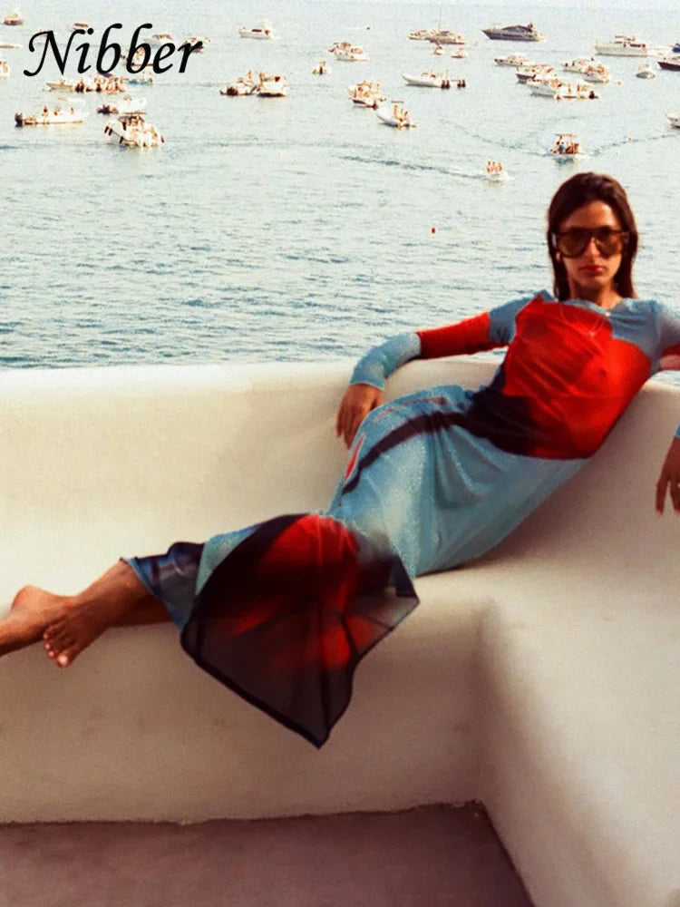 See Through Mesh Maxi Dress Women Long Sleeve Bodycon