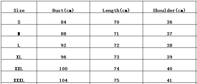 Women's Long Sleeve Embroidered Blouse Spring Fashion Loose Fit Ladies Shirt Plus Size Casual Top