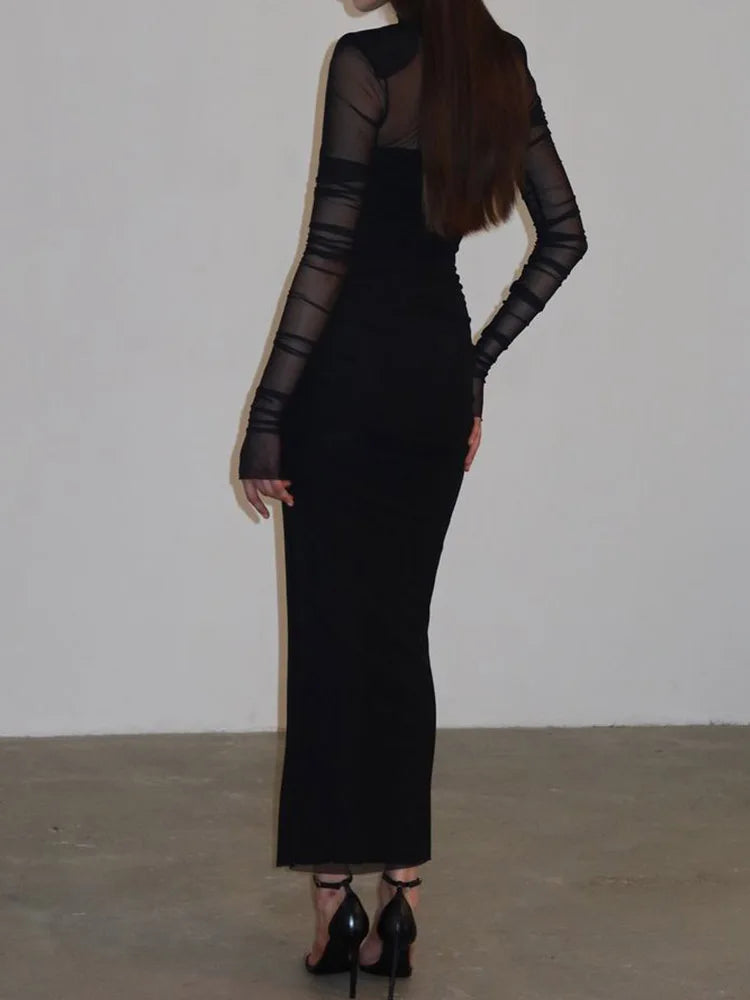 Mesh Patchwork See Through Dress For Women Turtle Neck