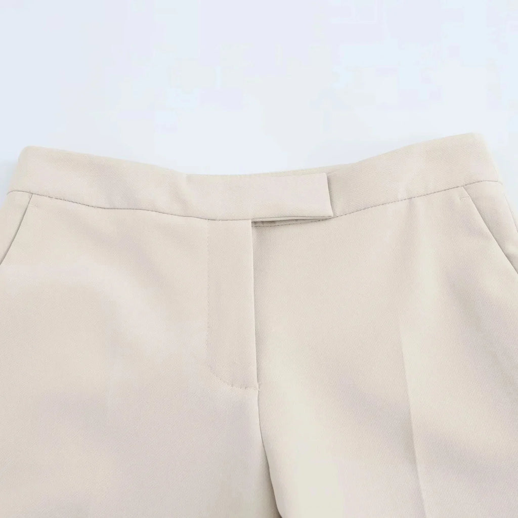 Elegant Women Blazer And Pants Suit For Office Wear