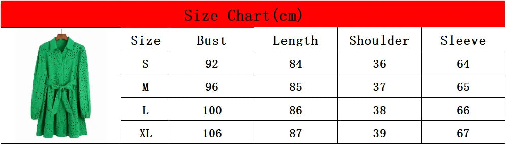 Lace Belted Dress With Eyelet Embroidery Cutout Design