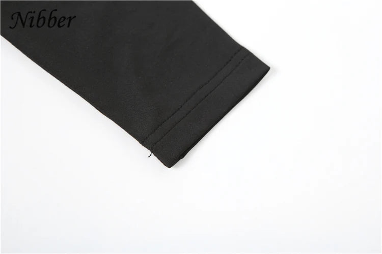 Elegant Nibber Pleats Two Piece Set for Women Hooded Low Neck Long Sleeve Top with Solid Flared Pants Casual Matching Trendy Outfit